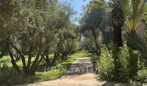 Prodej Vlastnictví Marrakech