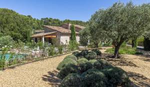 Prodej Vlastnictví Ménerbes