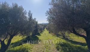 Prodej Vlastnictví Ollioules