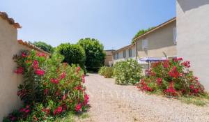 Prodej Vlastnictví RIEZ