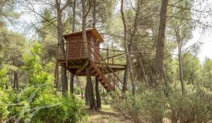 Prodej Vlastnictví Simiane-Collongue