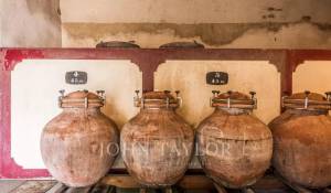 Prodej Vlastnost vinice Bordeaux