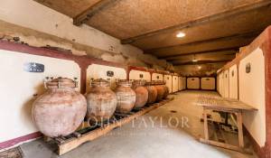 Prodej Vlastnost vinice Bordeaux