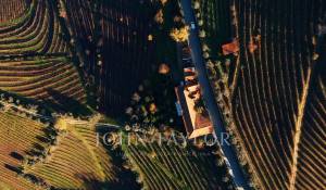 Prodej Vlastnost vinice Cambres