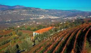 Prodej Vlastnost vinice Cambres