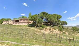 Prodej Vlastnost vinice Cuenca