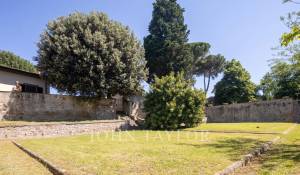 Prodej Vlastnost vinice Firenze