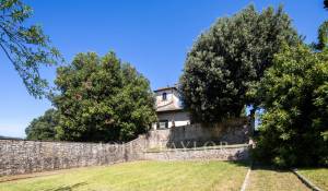Prodej Vlastnost vinice Firenze