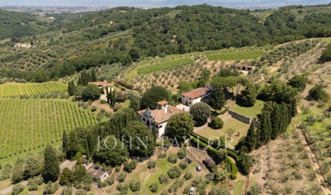Prodej Vlastnost vinice Firenze