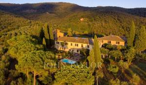 Prodej Vlastnost vinice Greve in Chianti