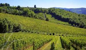 Prodej Vlastnost vinice Greve in Chianti