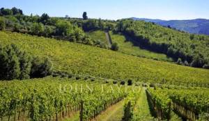 Prodej Vlastnost vinice Greve in Chianti