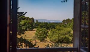 Prodej Vlastnost vinice L'Isle-sur-la-Sorgue