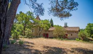 Prodej Vlastnost vinice L'Isle-sur-la-Sorgue