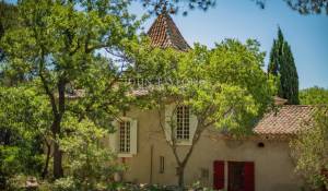Prodej Vlastnost vinice L'Isle-sur-la-Sorgue