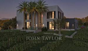 Prodej Vlastnost vinice Moscari