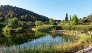 Prodej Vlastnost vinice Palma de Mallorca