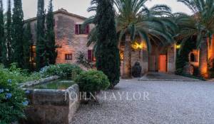 Prodej Vlastnost vinice Palma de Mallorca