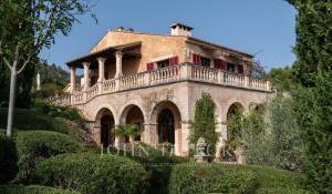 Prodej Vlastnost vinice Palma de Mallorca