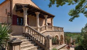 Prodej Vlastnost vinice Palma de Mallorca