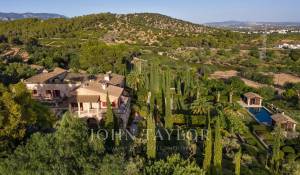 Prodej Vlastnost vinice Palma de Mallorca