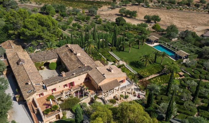 Prodej Vlastnost vinice Palma de Mallorca