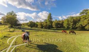 Prodej Vlastnost vinice Sadirac