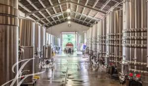 Prodej Vlastnost vinice Sadirac