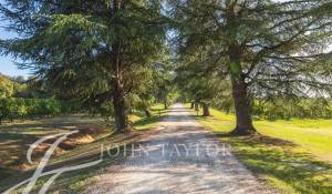 Prodej Vlastnost vinice Sadirac