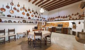 Prodej zámek Puigpunyent