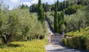 Pronájem Byt Firenze