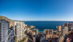 Pronájem Byt Monaco