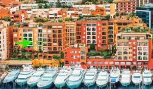 Pronájem Byt Monaco