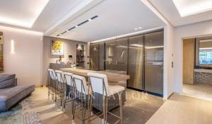 Pronájem Byt Monaco