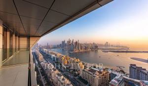 Pronájem Byt Palm Jumeirah