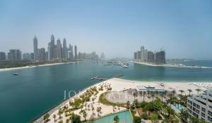 Pronájem Byt Palm Jumeirah