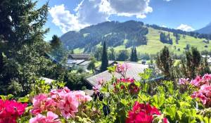 Pronájem Byt Saanen