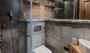 Pronájem Byt Verbier