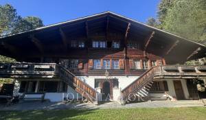 Pronájem Chalet Schönried