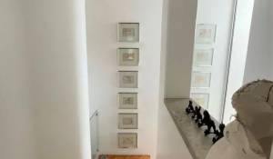 Pronájem Dům Limassol