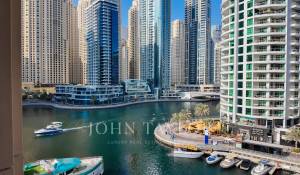 Pronájem Mas Dubai Marina