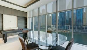 Pronájem Mas Dubai Marina