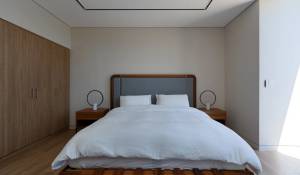 Pronájem Městský dům Dubai