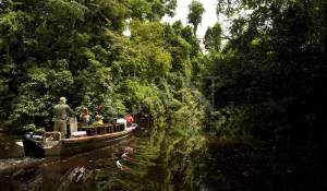 Pronajem Motorová jachta 