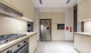Pronájem Penthouse Downtown Dubai