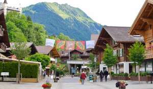 Pronájem Vesnický dům Gstaad