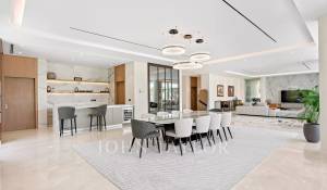 Pronájem Vila Dubai