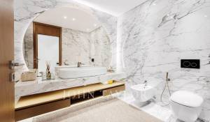 Pronájem Vila Dubai