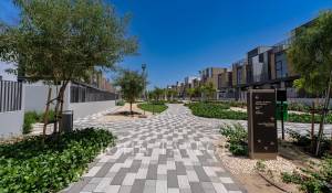 Pronájem Vila Dubai