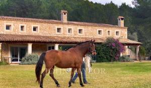 Pronájem Vila Esporles